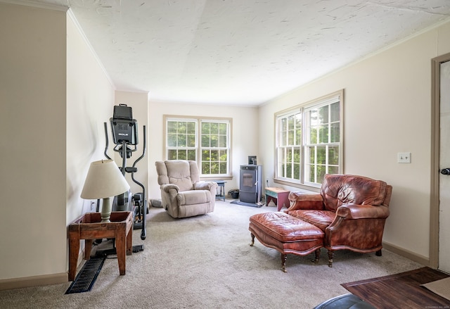 60 Pomperaug Rd, Woodbury, CT 06798 - carpeted living room featuring a wood stove and ornamental molding