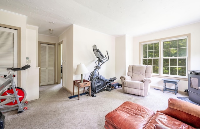 60 Pomperaug Rd, Woodbury, CT 06798 - workout room featuring carpet and ornamental molding