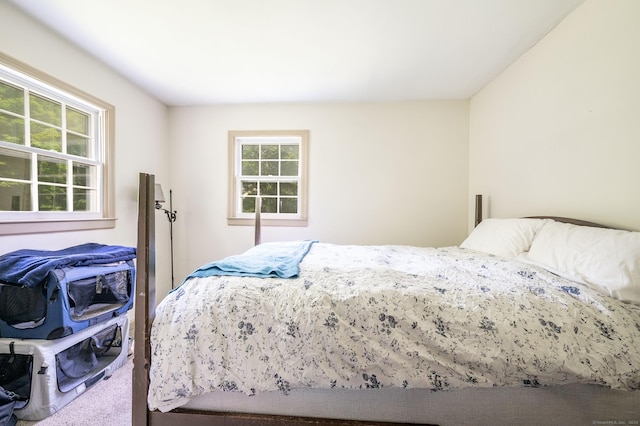 60 Pomperaug Rd, Woodbury, CT 06798 - view of carpeted bedroom
