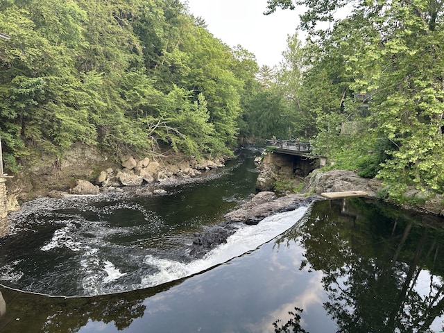 60 Pomperaug Rd, Woodbury, CT 06798 - water view featuring a forest