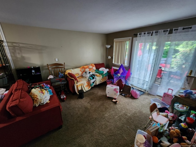 560 Yale Ave Unit 8, Meriden, CT 06450 - view of carpeted living room
