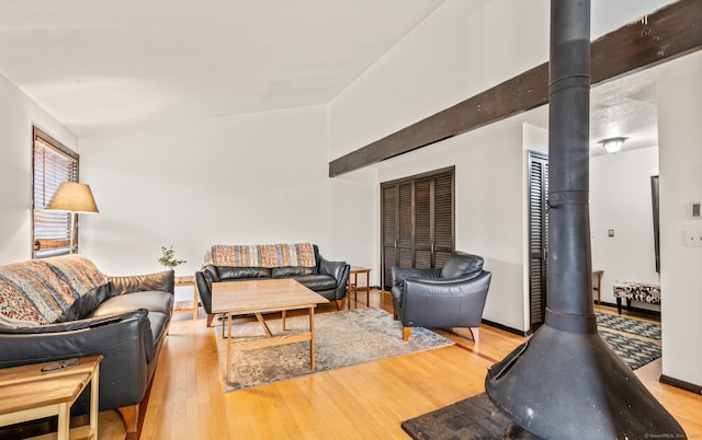 113E Country Squire Dr Unit 113E, Cromwell, CT 06416 - living area featuring a wood stove and wood finished floors