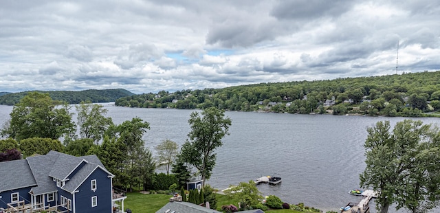 75 N Lake Shore Dr, Brookfield, CT 06804 - water view featuring a heavily wooded area