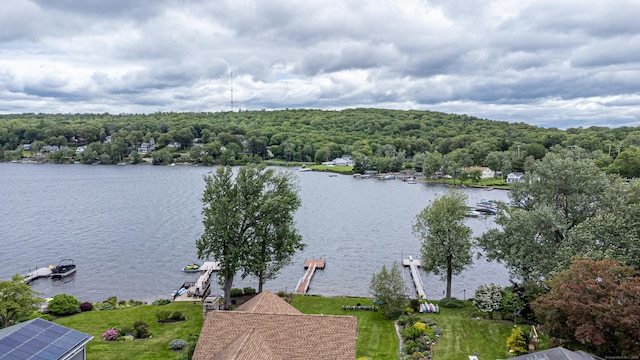 75 N Lake Shore Dr, Brookfield, CT 06804 - water view featuring a boat dock