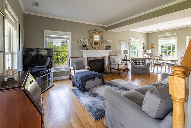 509 Main St Unit 6, Old Saybrook, CT 06475 - living room featuring a fireplace, light wood finished floors, and crown molding