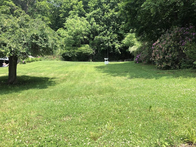 38 Upland Rd, Winchester, CT 06098 - view of green lawn