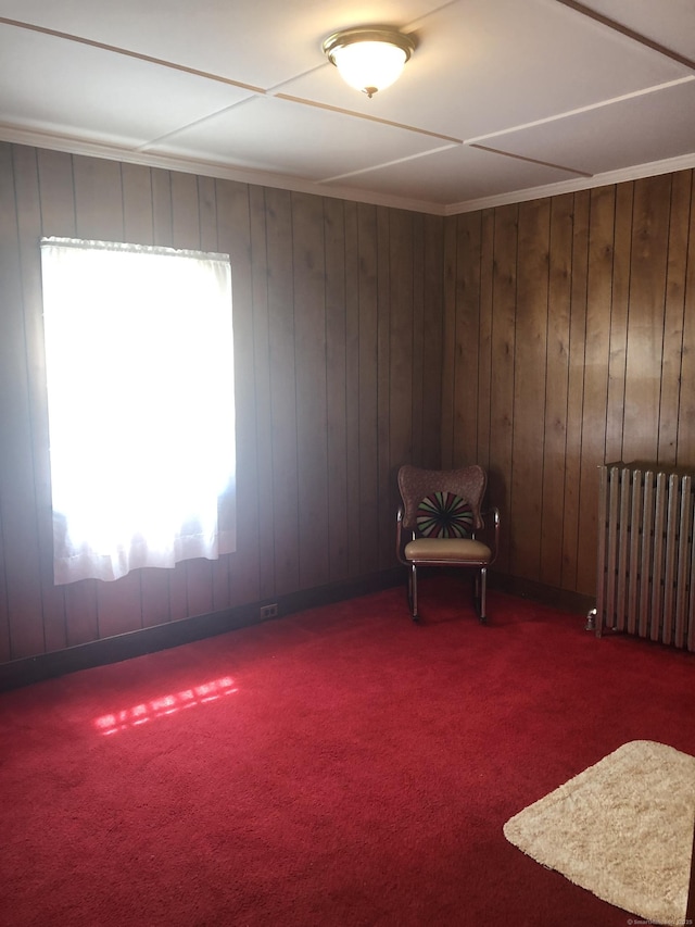 38 Upland Rd, Winchester, CT 06098 - carpeted spare room featuring radiator and wood walls
