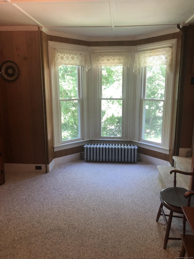 38 Upland Rd, Winchester, CT 06098 - living area with radiator heating unit, plenty of natural light, and carpet