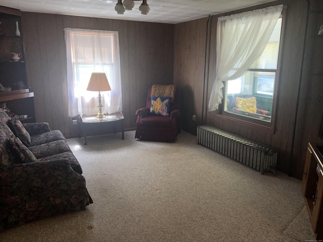38 Upland Rd, Winchester, CT 06098 - living area featuring radiator heating unit, carpet flooring, and wooden walls