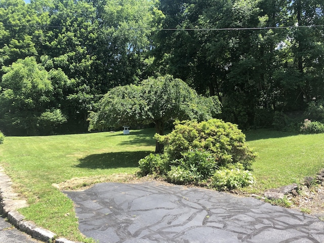 38 Upland Rd, Winchester, CT 06098 - view of green lawn