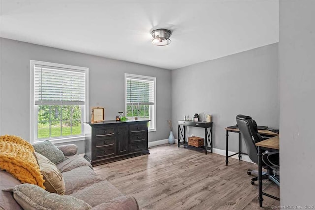 379 Tripp Hollow Rd, Brooklyn, CT 06234 - office space featuring light wood-style flooring and baseboards