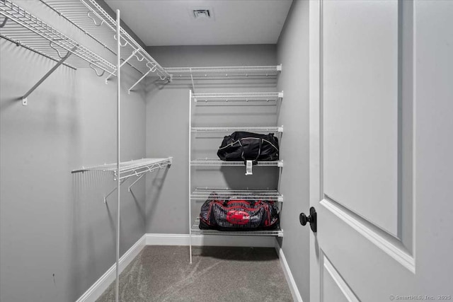 379 Tripp Hollow Rd, Brooklyn, CT 06234 - view of walk in closet