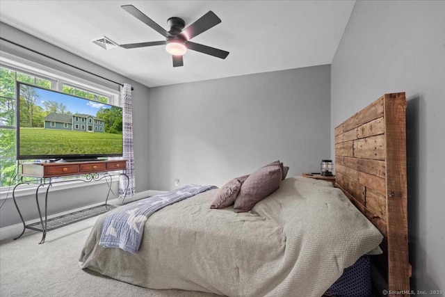 379 Tripp Hollow Rd, Brooklyn, CT 06234 - bedroom featuring carpet and a ceiling fan