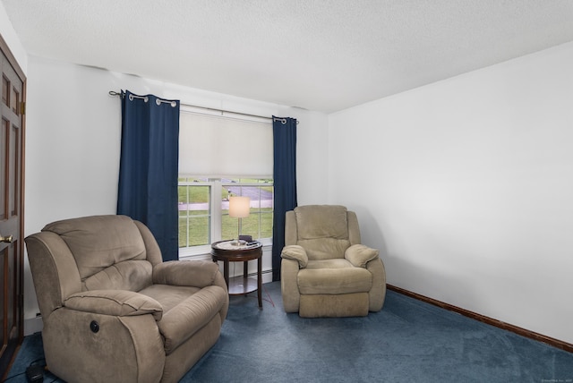 29 Birchwood Dr, Killingly, CT 06241 - living area featuring carpet floors and a textured ceiling