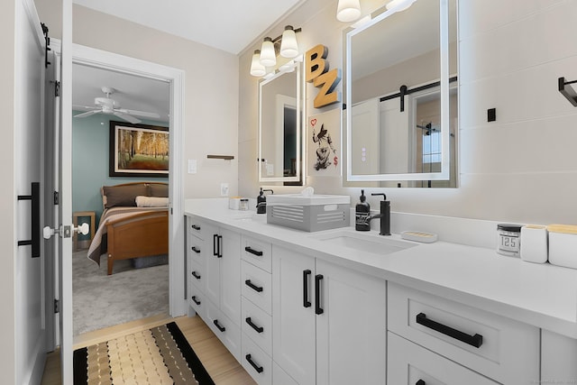 10 Amato Dr, Wethersfield, CT 06109 - ensuite bathroom with double vanity and a ceiling fan
