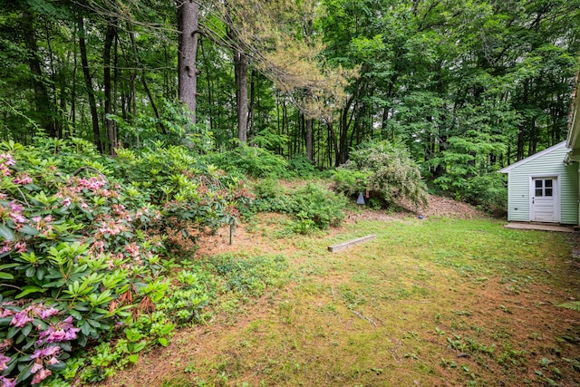 98 Torrington Ave, Canton, CT 06019 - view of yard featuring a forest view