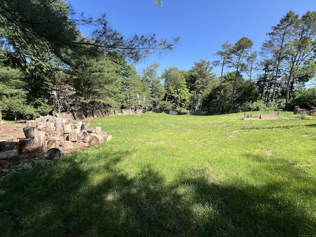372 Oakland St, Manchester, CT 06042 - view of green lawn