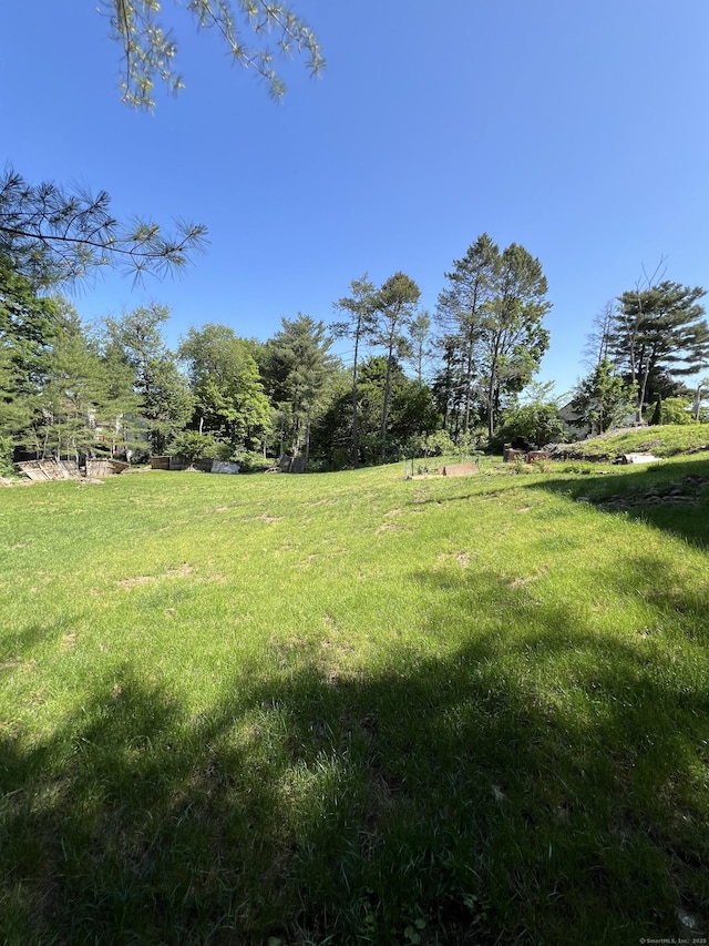 372 Oakland St, Manchester, CT 06042 - view of green lawn