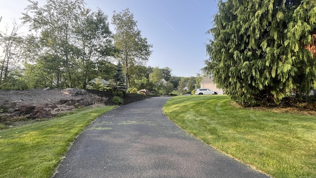 45 Wesley Dr, Shelton, CT 06484 - photo 4