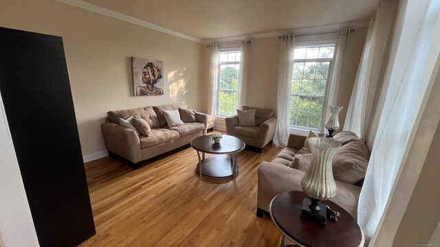 45 Wesley Dr, Shelton, CT 06484 - photo 9