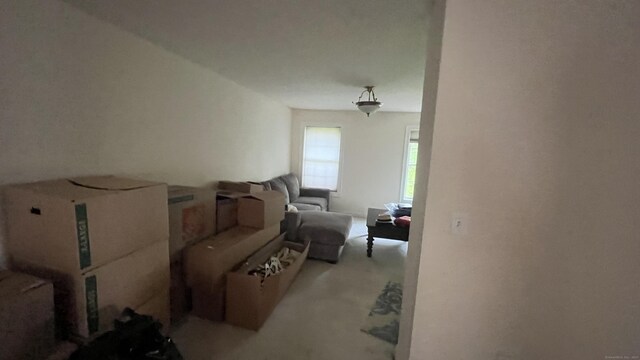 45 Wesley Dr, Shelton, CT 06484 - photo 23