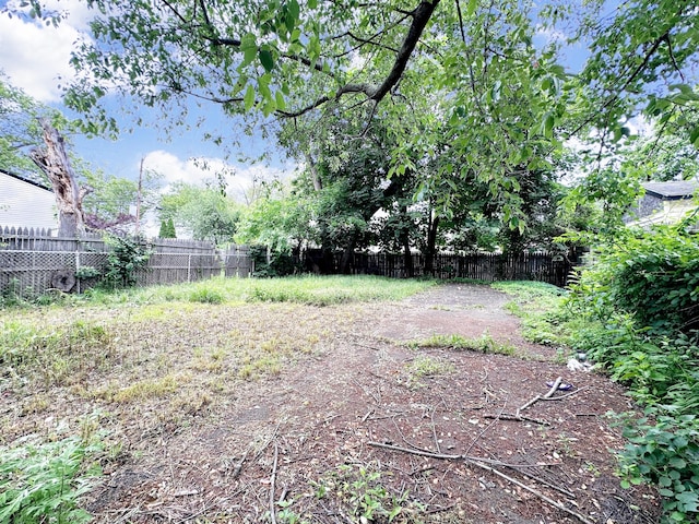 26 Lamberton St, New Haven, CT 06519 - view of yard