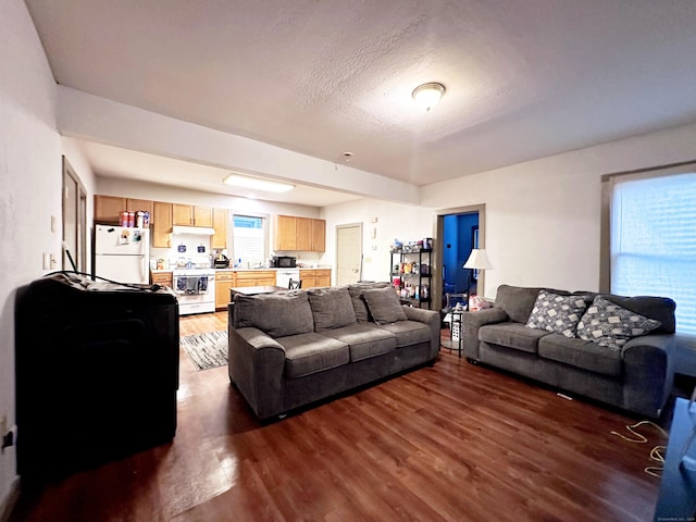16 Dickerman St, New Haven, CT 06511 - living area with dark wood finished floors and a textured ceiling