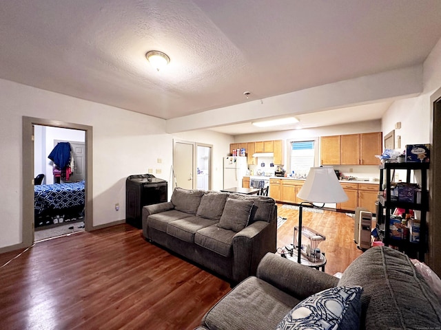 16 Dickerman St, New Haven, CT 06511 - living area featuring wood finished floors and a textured ceiling
