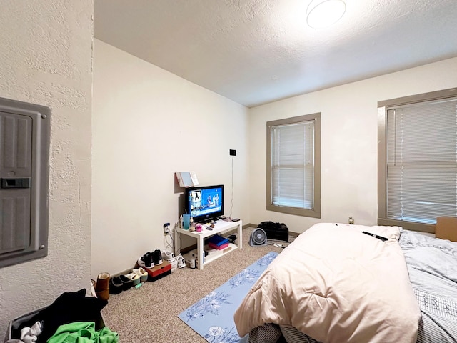 16 Dickerman St, New Haven, CT 06511 - carpeted bedroom with electric panel