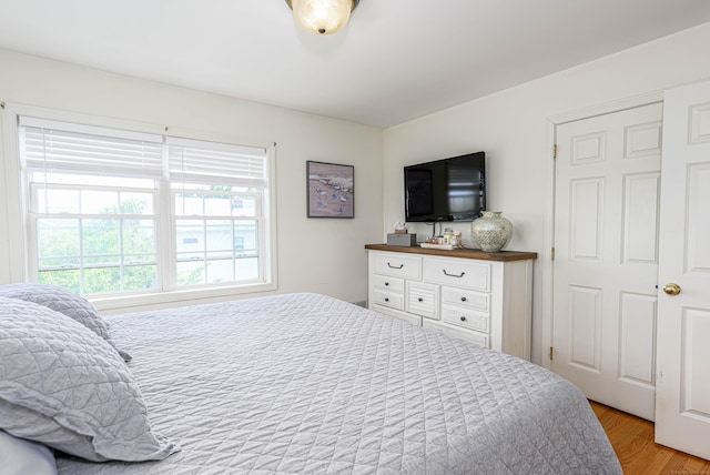 56 Morgan Ave, East Haven, CT 06512 - photo 28