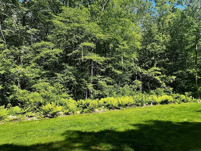 127 Skunk Misery Rd, Haddam, CT 06441 - view of green lawn featuring a wooded view