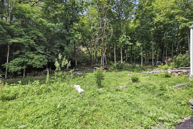 971 New Litchfield St, Torrington, CT 06790 - view of yard featuring a view of trees