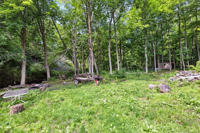 971 New Litchfield St, Torrington, CT 06790 - view of yard featuring an outdoor structure and a forest view