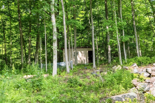 971 New Litchfield St, Torrington, CT 06790 - view of nature