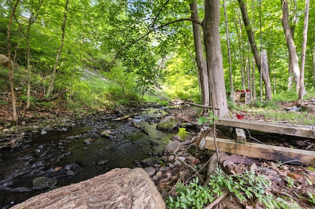 971 New Litchfield St, Torrington, CT 06790 - view of yard featuring a view of trees