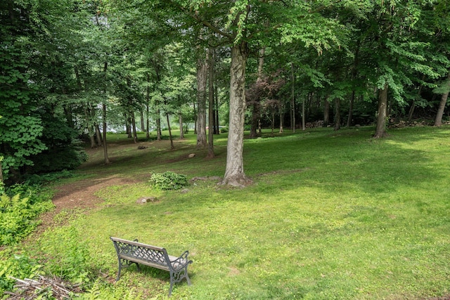 251 Ridgewood Rd, West Hartford, CT 06107 - view of grassy yard