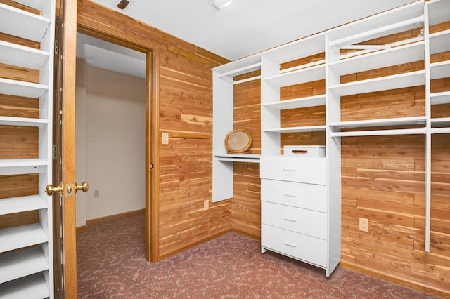 116 Bellridge Rd, Glastonbury, CT 06033 - walk in closet with dark carpet