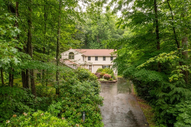 116 Bellridge Rd, Glastonbury, CT 06033 - view of subject property with a forest