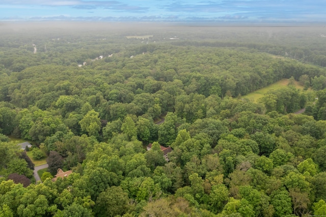 116 Bellridge Rd, Glastonbury, CT 06033 - aerial view of a heavily wooded area