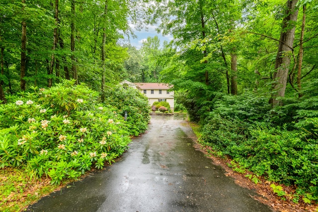 116 Bellridge Rd, Glastonbury, CT 06033 - view of front of house with driveway and a forest view