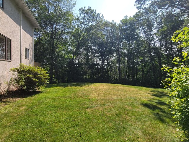 12 Enrico Rd, Bolton, CT 06043 - view of green lawn