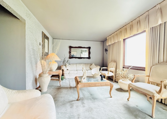 living room featuring carpet