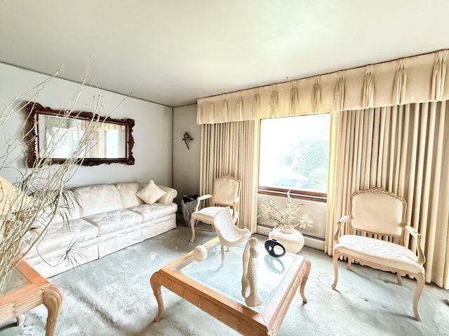 carpeted living room with plenty of natural light