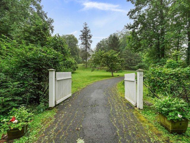 33 Great Pasture Rd, Redding, CT 06896 - view of asphalt driveway featuring a gate and a gated entry