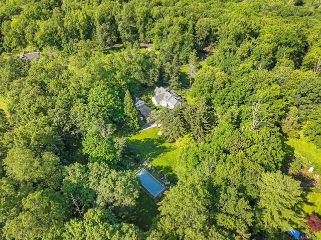 33 Great Pasture Rd, Redding, CT 06896 - bird's eye view of a forest