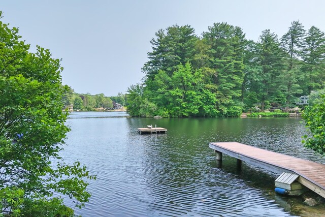 68 Old Dike Rd, Trumbull, CT 06611 - photo 36