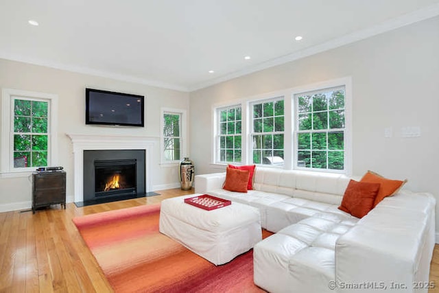 24 Nimitz Pl, Greenwich, CT 06870 - living room with healthy amount of natural light, wood finished floors, ornamental molding, a fireplace with flush hearth, and recessed lighting