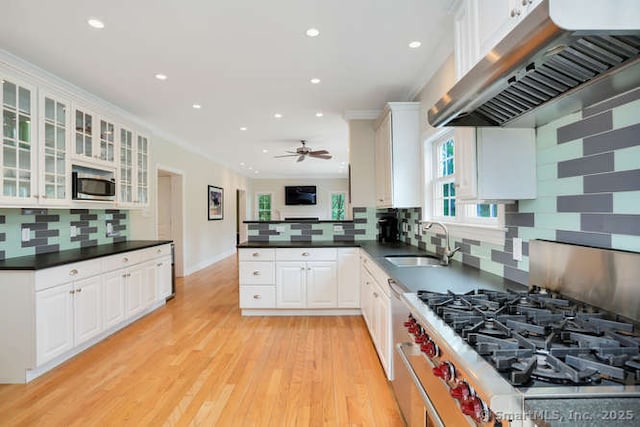 24 Nimitz Pl, Greenwich, CT 06870 - kitchen featuring appliances with stainless steel finishes, ventilation hood, light wood finished floors, dark countertops, and recessed lighting