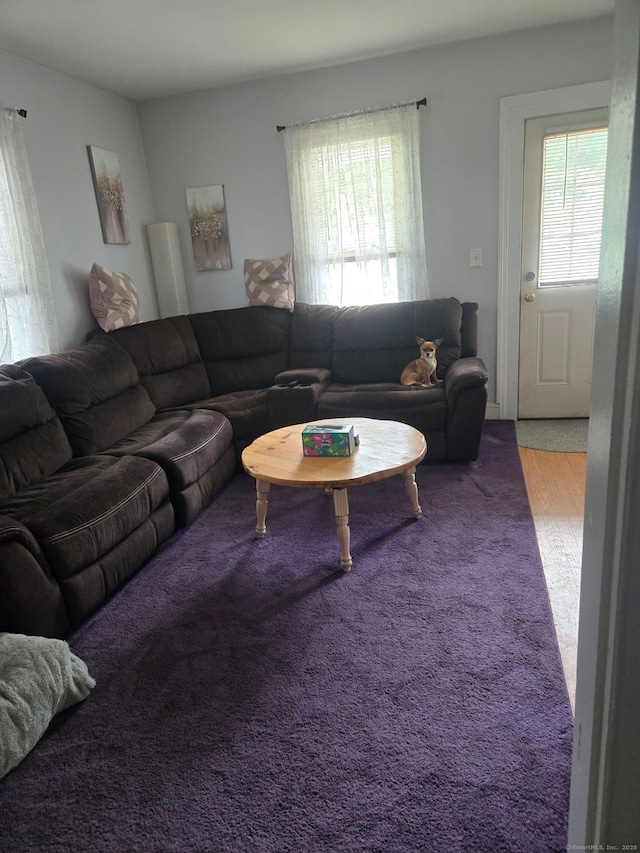 138 Harwinton Ave, Torrington, CT 06790 - living area with healthy amount of natural light