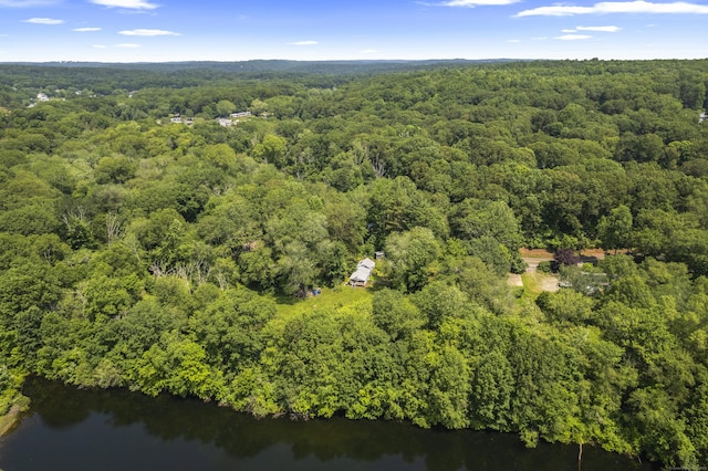 57 River Rd, Clinton, CT 06413 - bird's eye view of a forest and a nearby body of water